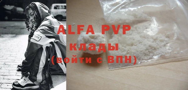 прущие грибы Сосновый Бор