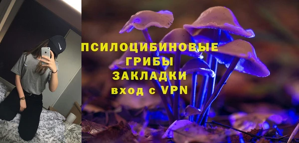 амф Верея