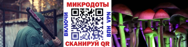 гидра зеркало  Дорогобуж  Галлюциногенные грибы мицелий 